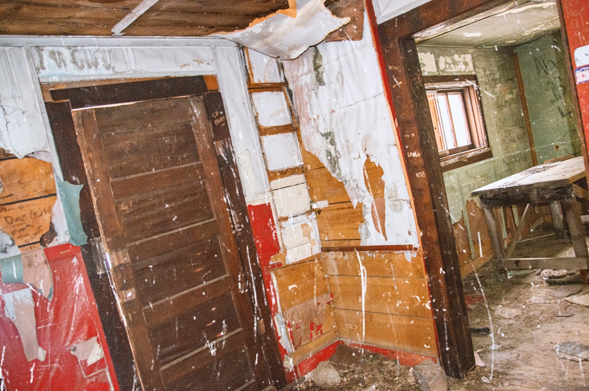 Mold Remediation service in Alton, IL