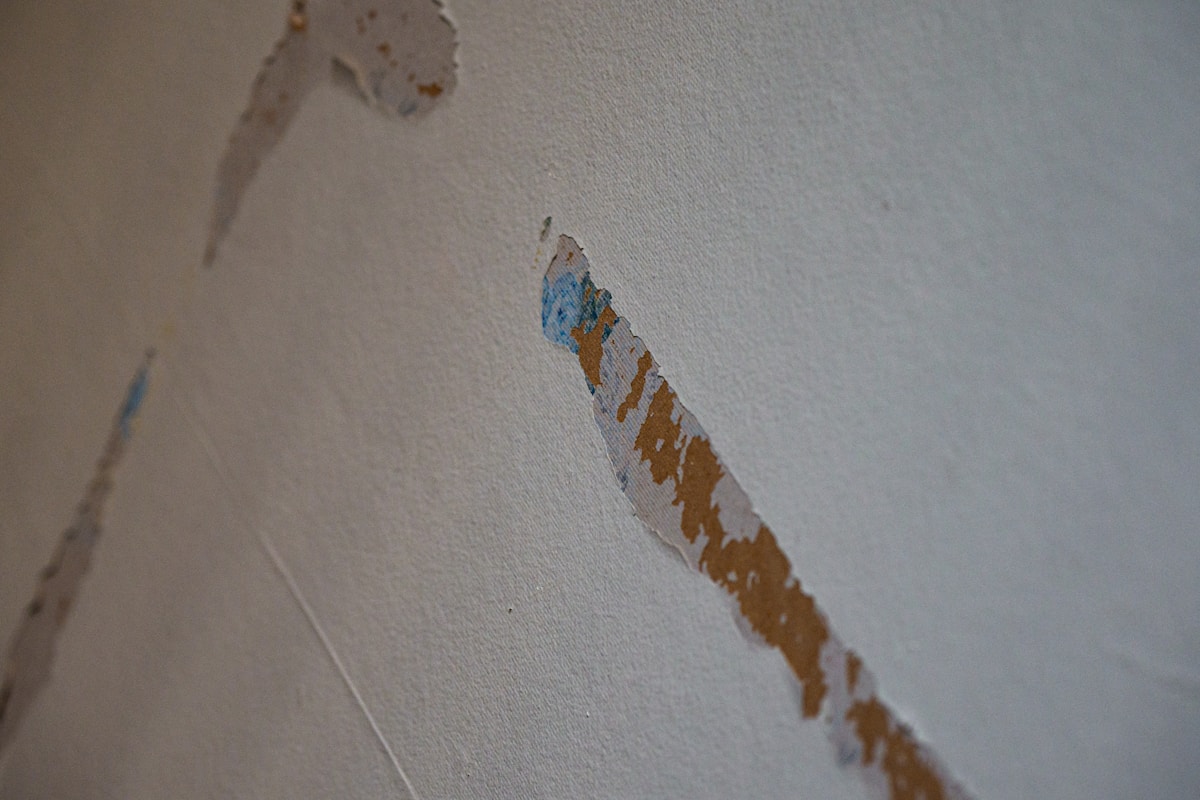 Storm Damage Repair service in Alton, IL